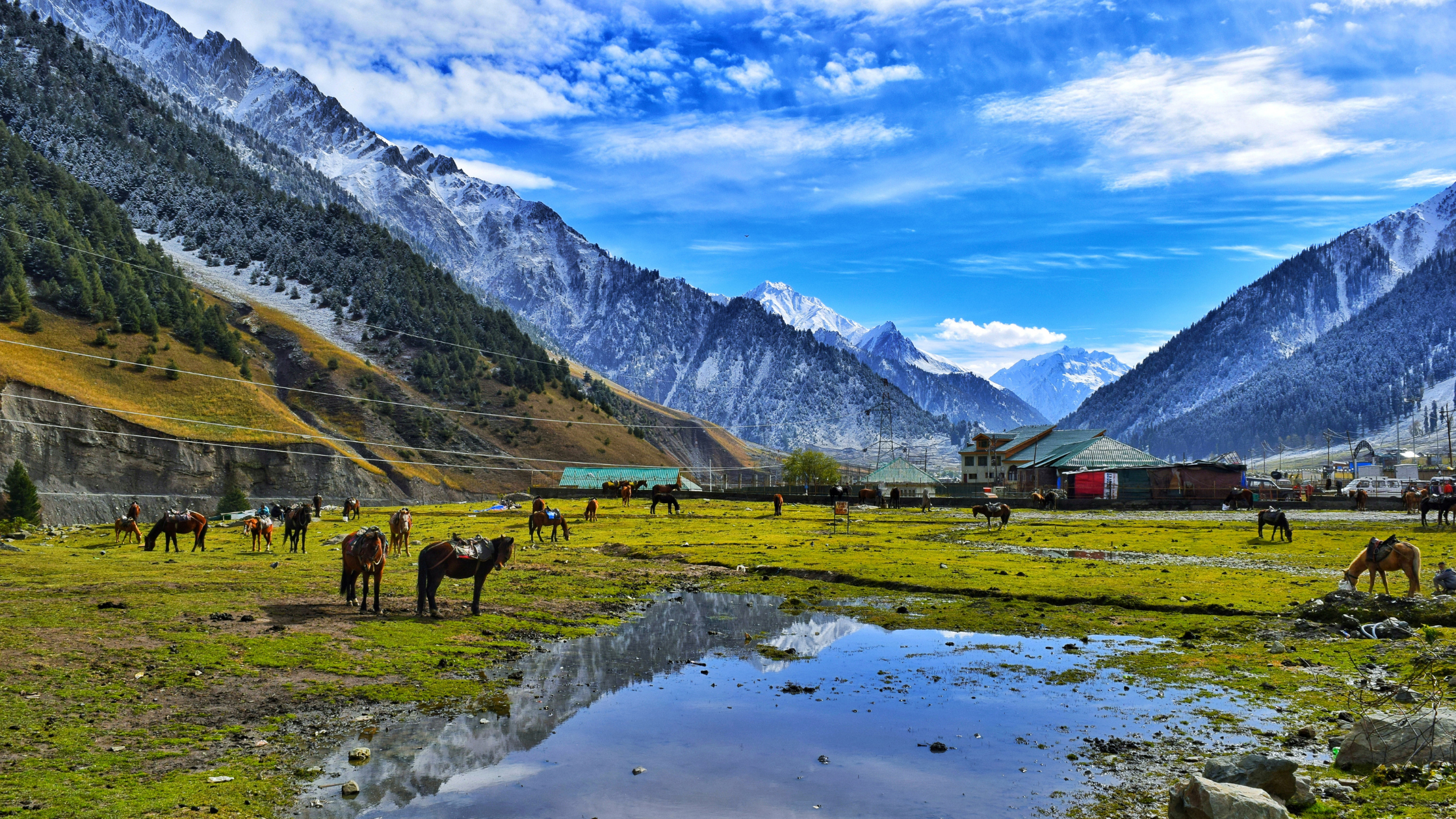 Kashmir Holiday Packages For Family