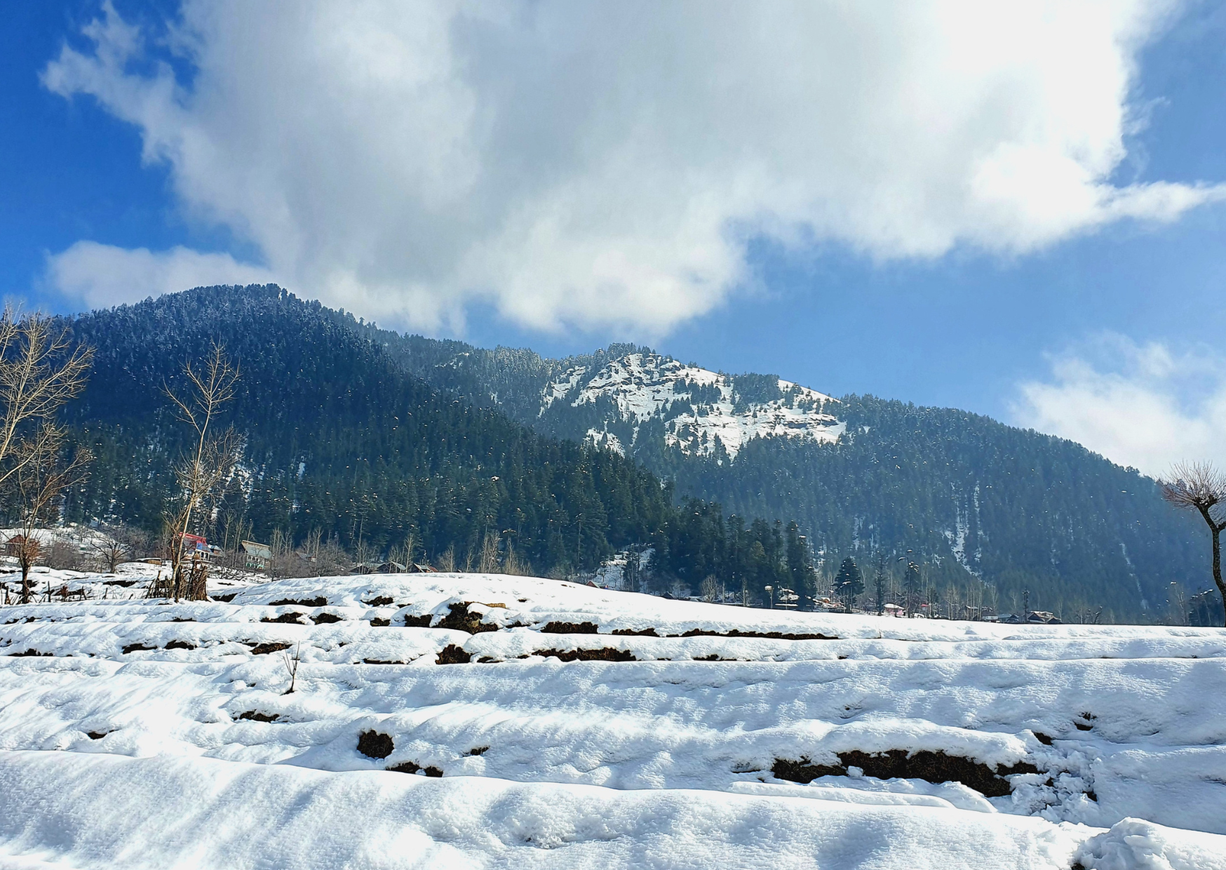 7 Nights 8 Days Kashmir Tour Package From Mumbai